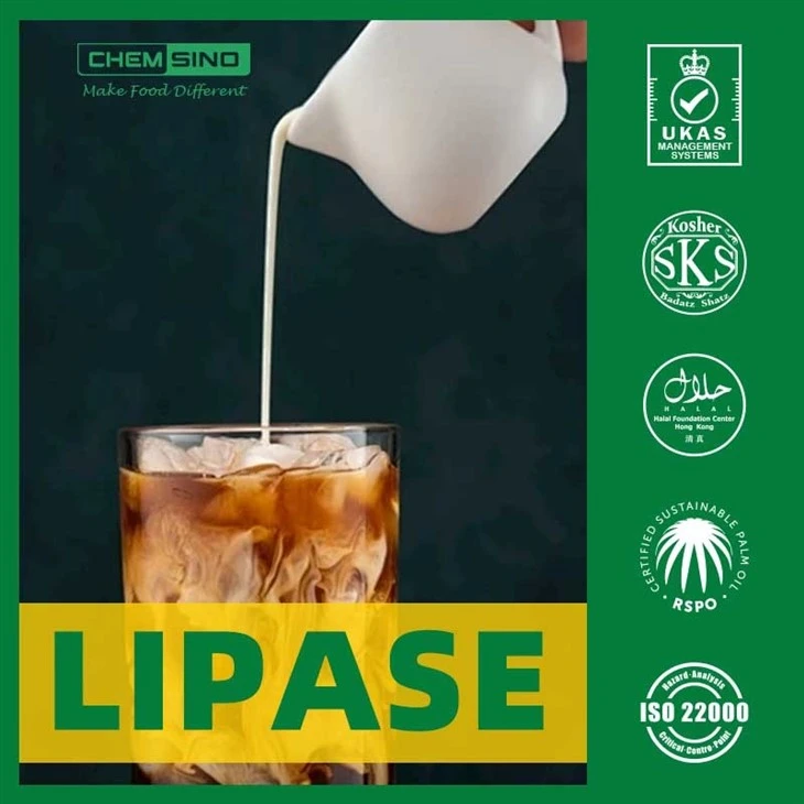 Lipase enzyme Chemsino