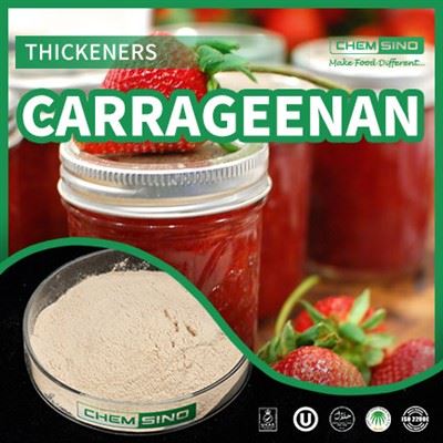 Karragenan: Muvaffaqiyat formulasi, lazzat va tuzilishni mukammallikka ko'tarish! CAS №.9000-07-1