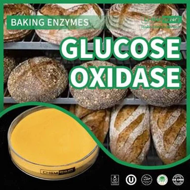 Xitoy fermenti glyukoza oksidaz va sizning oziq-ovqat ishlab chiqarish jarayoningiz! CAS NO.: 9001-37-13